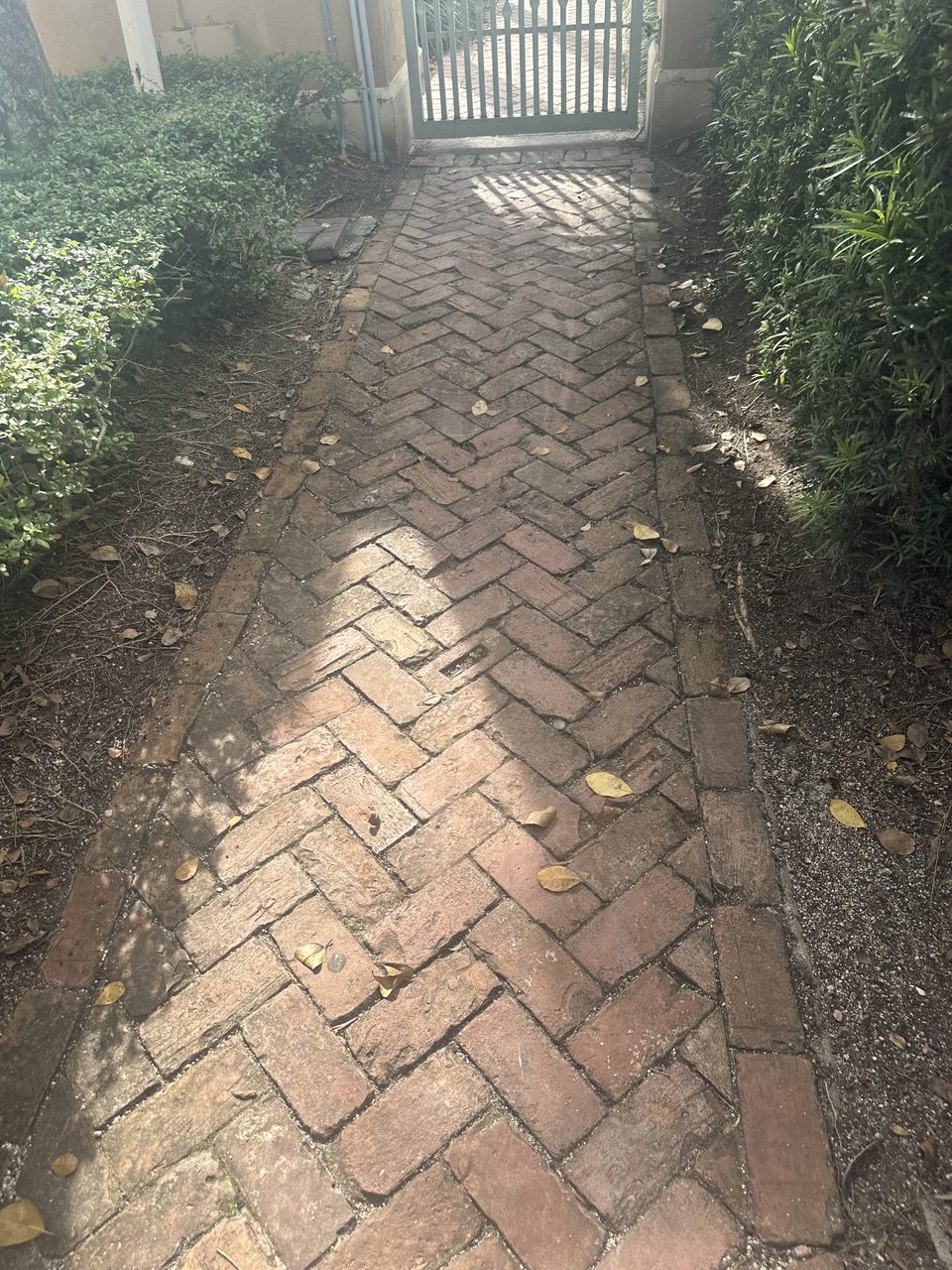 Patio & Walkway Pavers project in Doral, FL by Driveway & Paver Solutions