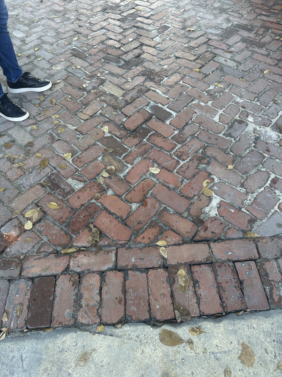 Patio & Walkway Pavers project in Doral, FL by Driveway & Paver Solutions