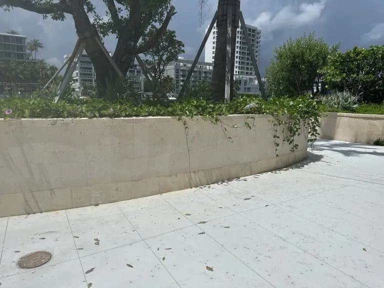Curved beige stone tile planter wall next to a clean white paver or tile walkway with high-rise buildings in the background.